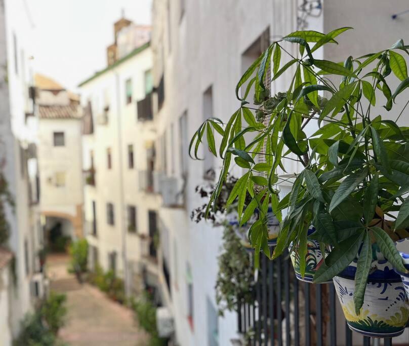 קורדובה Apartamento Kenza מראה חיצוני תמונה