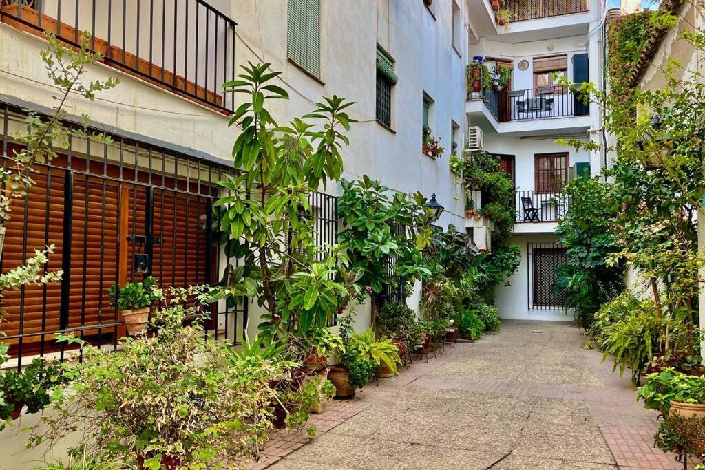 קורדובה Apartamento Kenza מראה חיצוני תמונה
