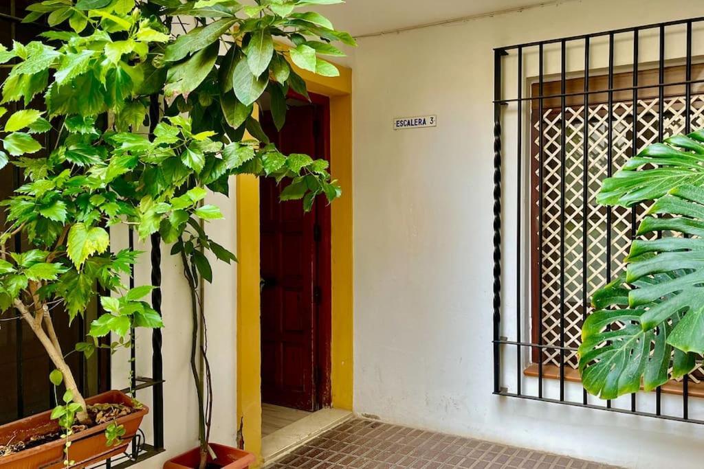 קורדובה Apartamento Kenza מראה חיצוני תמונה